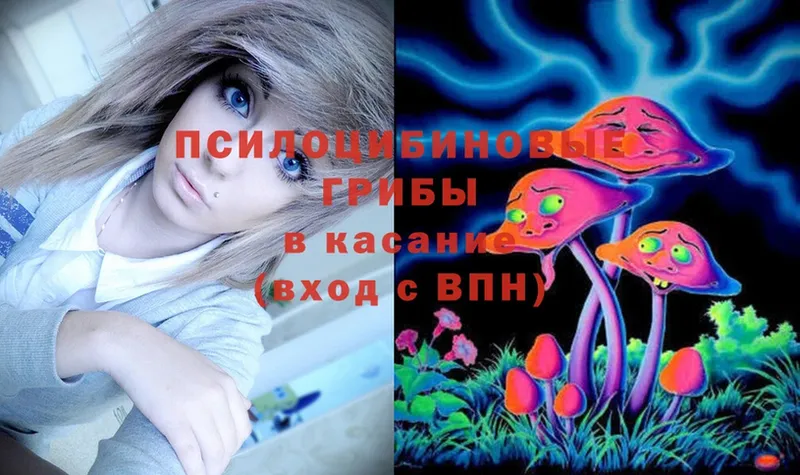 Псилоцибиновые грибы Magic Shrooms Катайск